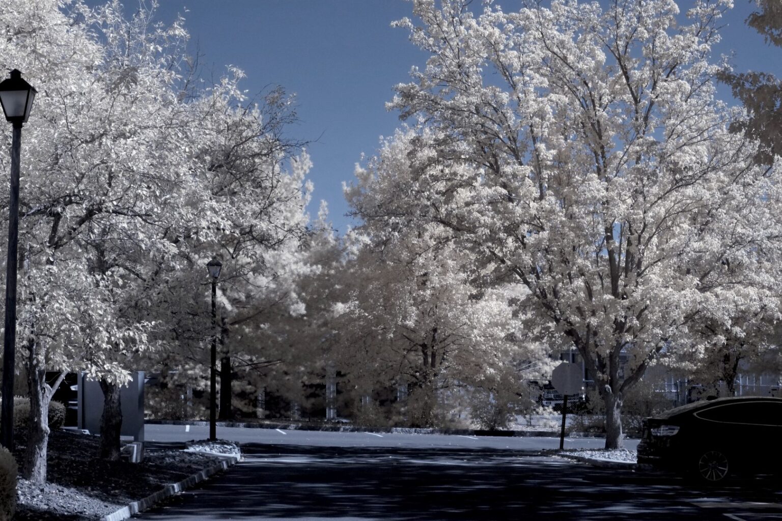 Fujifilm infrared conversion