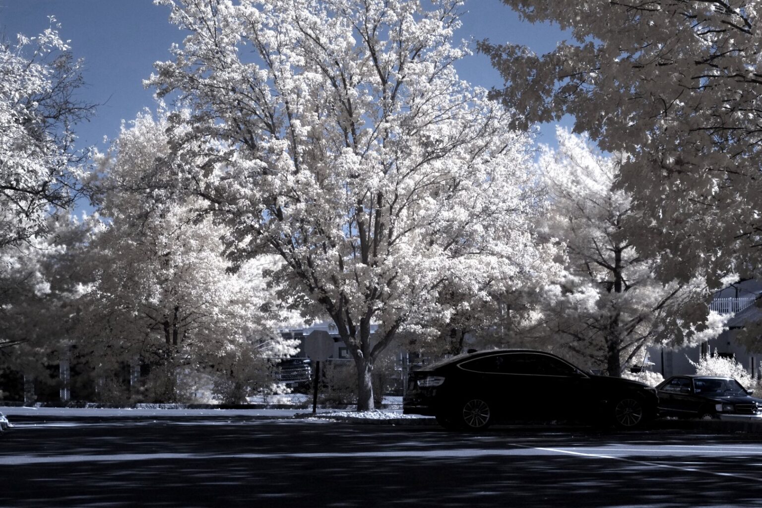 Fujifilm infrared conversion