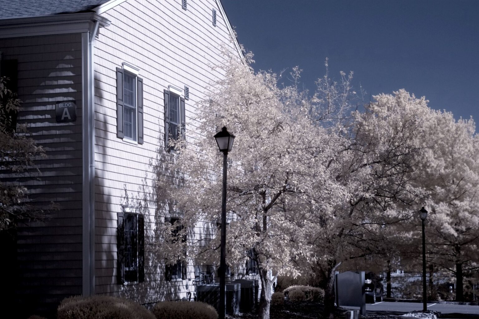 Fujifilm infrared conversion