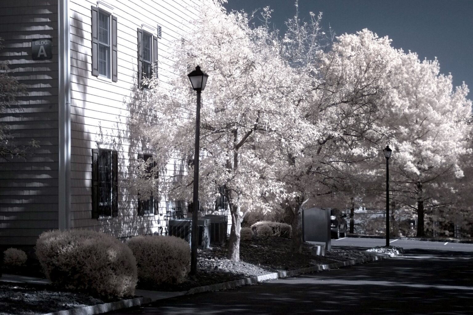Fujifilm infrared conversion