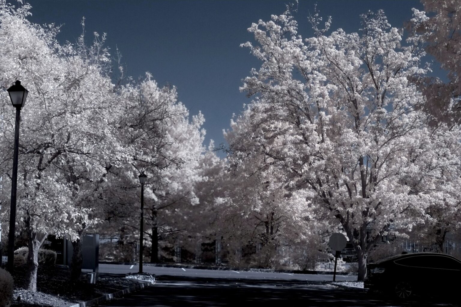 Fujifilm infrared conversion
