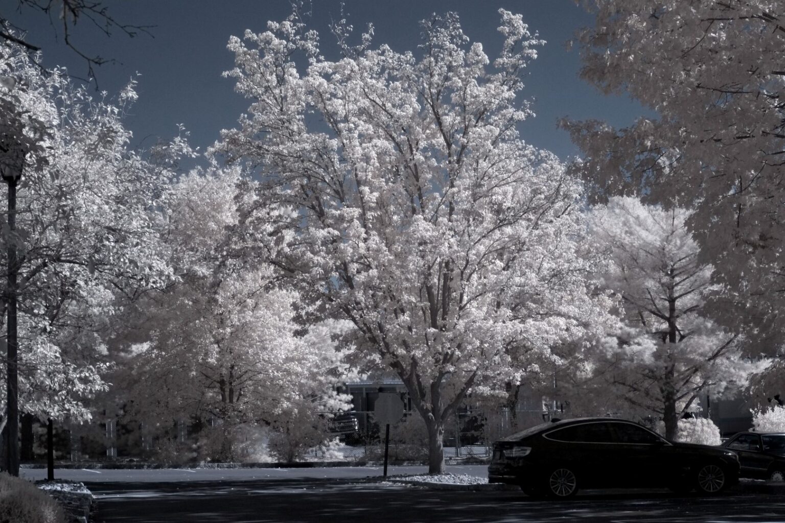 Fujifilm infrared conversion