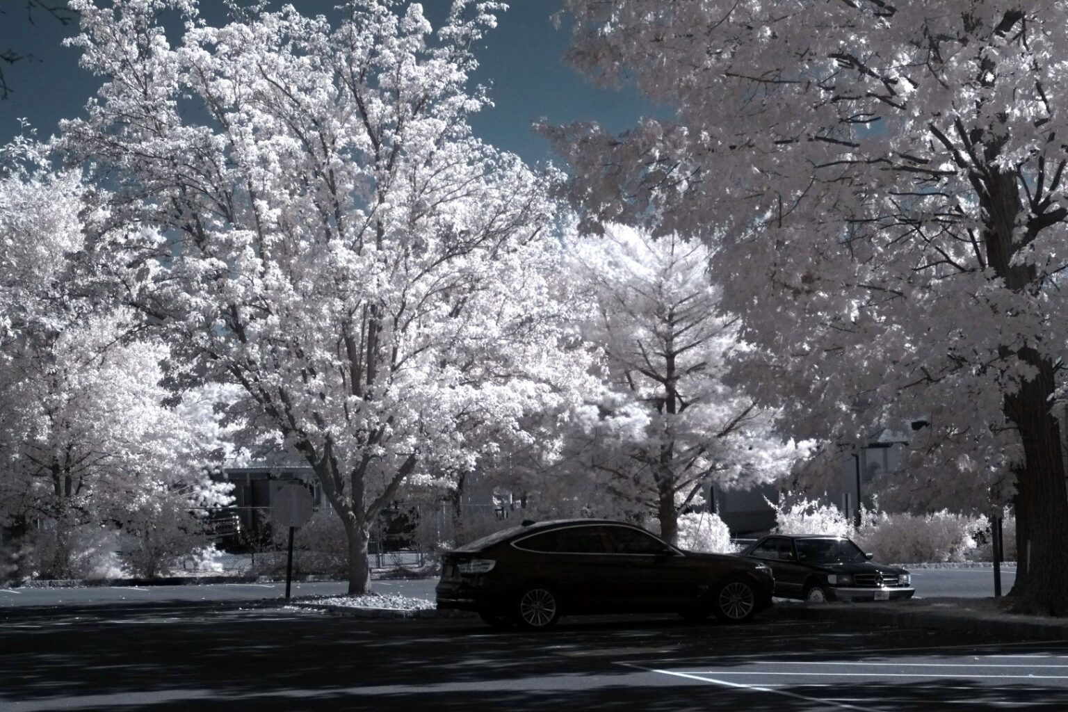 Fujifilm infrared conversion