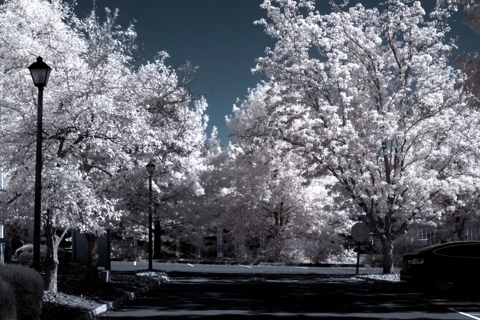 Fujifilm infrared conversion