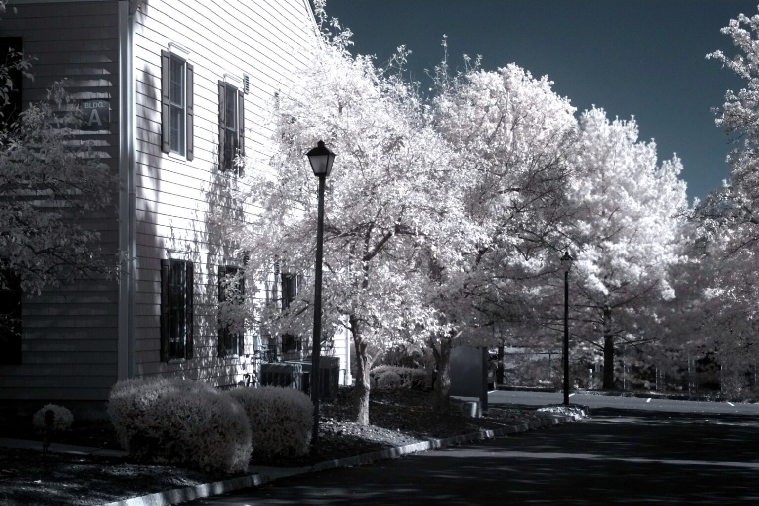 Fujifilm infrared conversion
