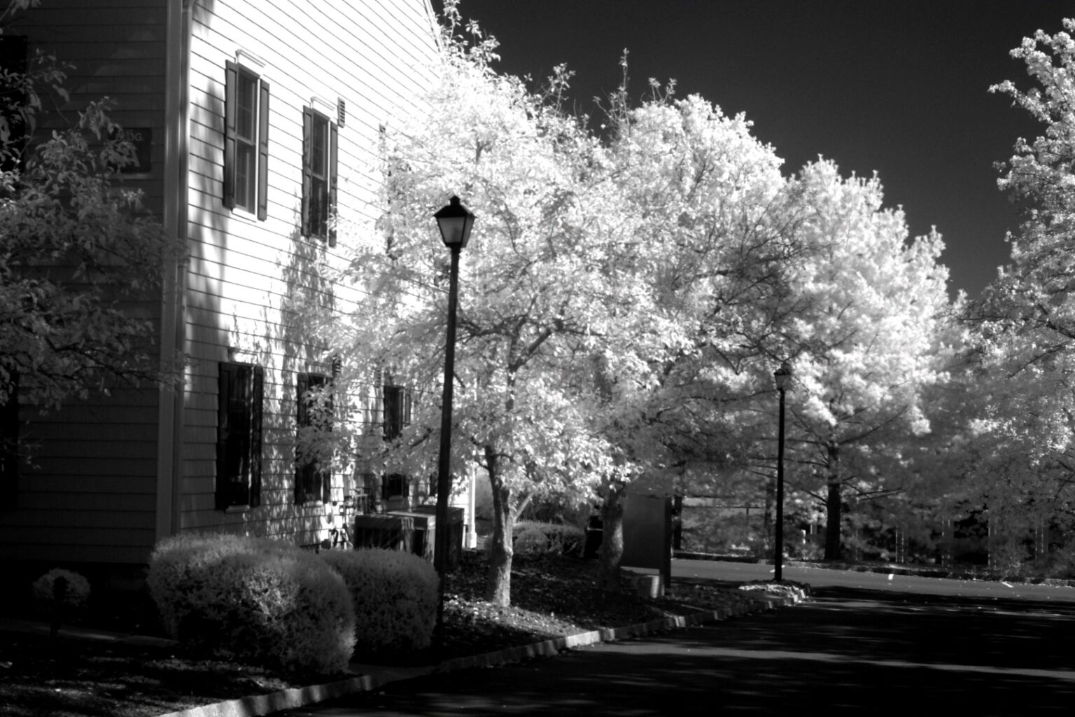 Fujifilm infrared conversion