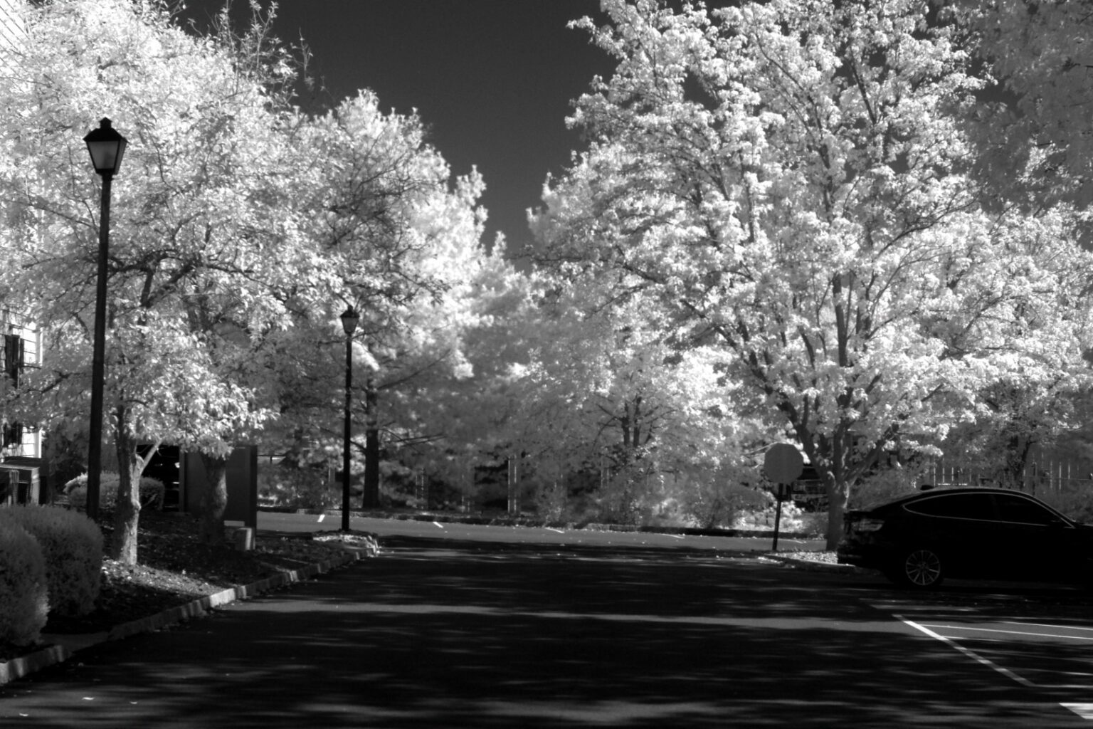 Fujifilm infrared conversion