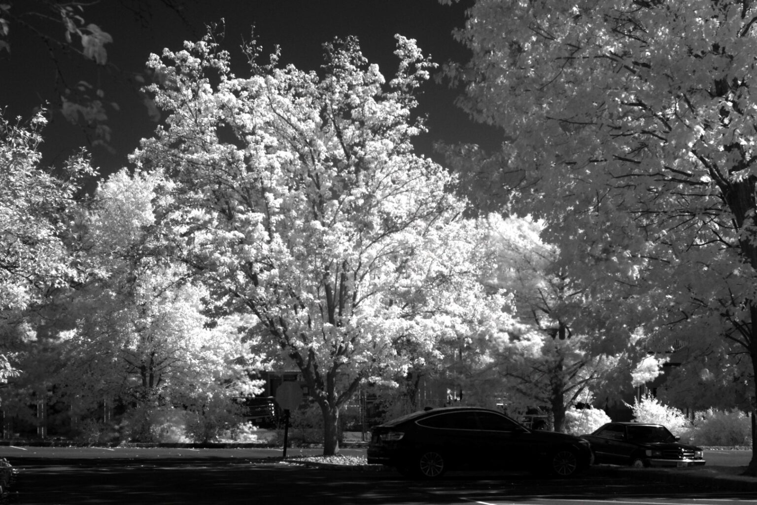 Fujifilm infrared conversion
