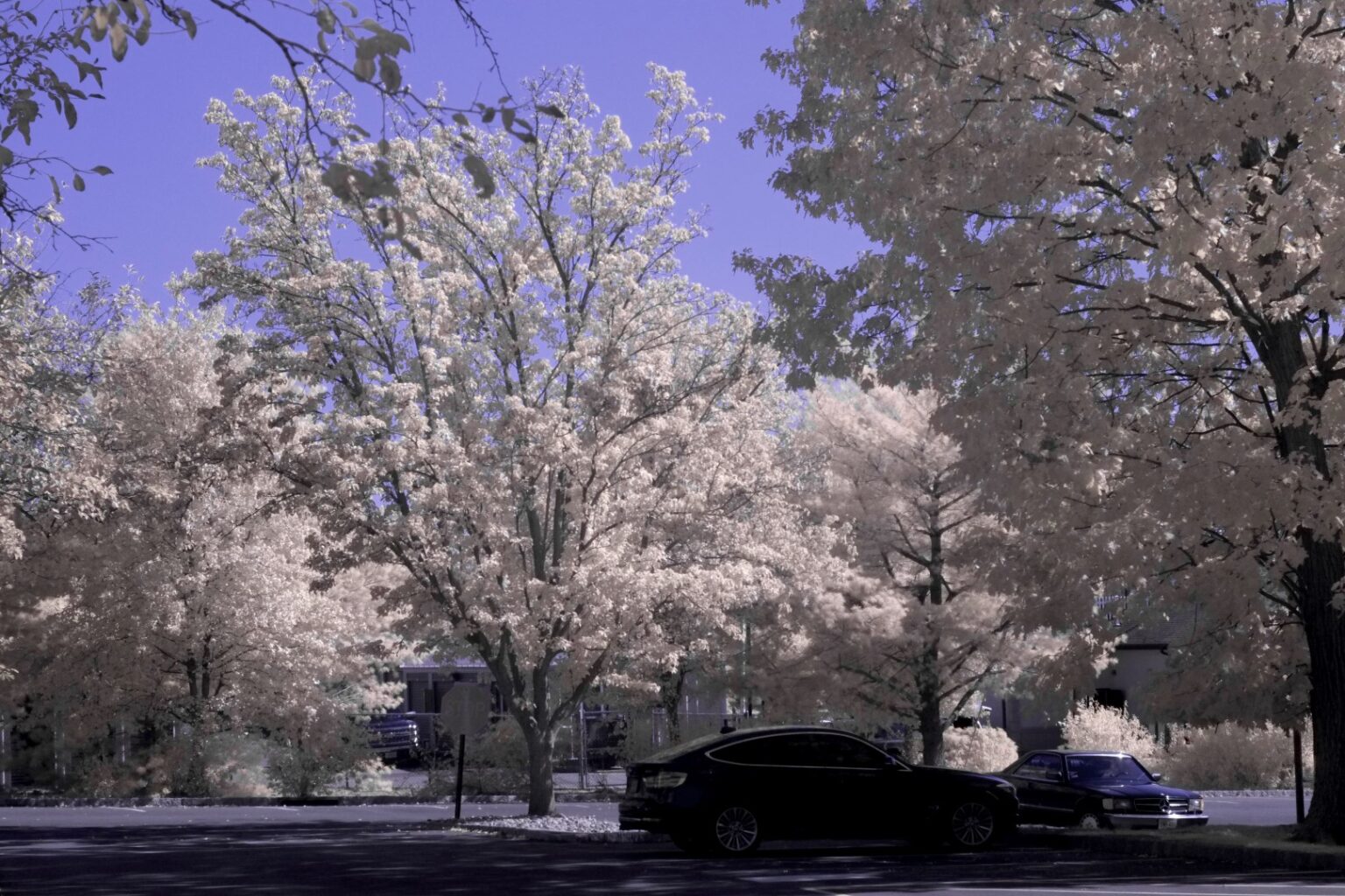 Fujifilm infrared conversion