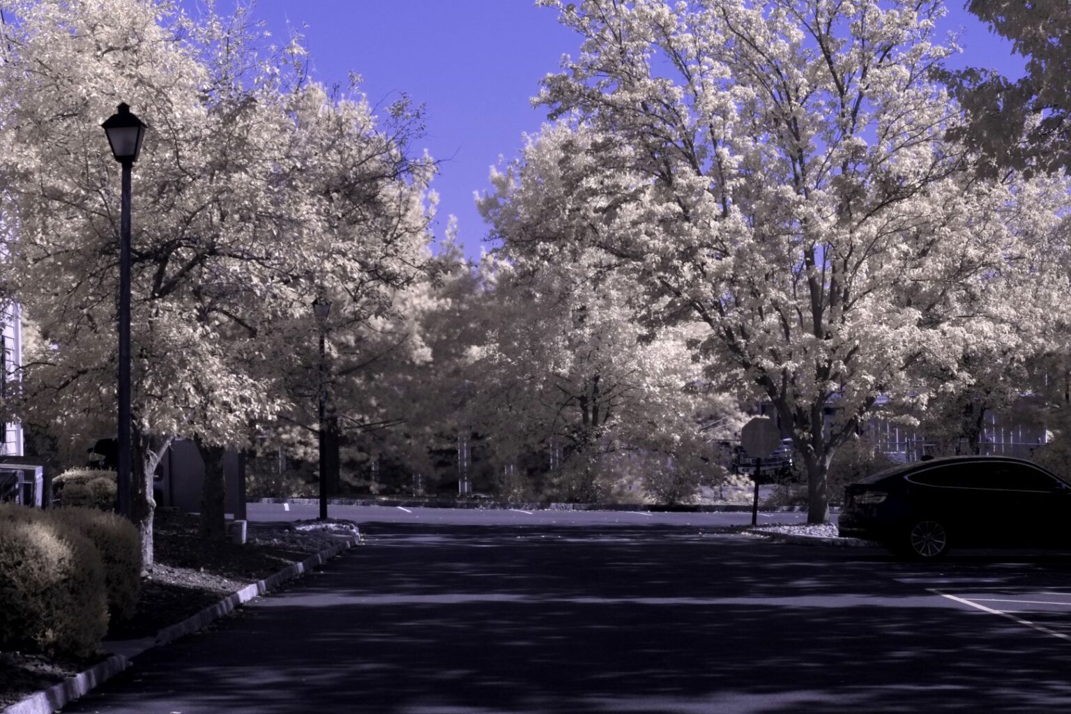 Fujifilm infrared conversion