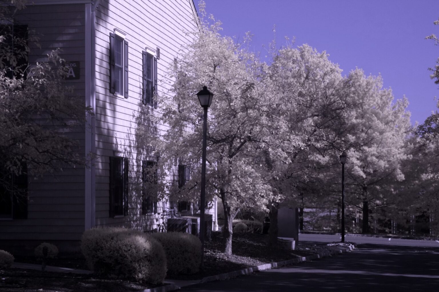 Fujifilm infrared conversion