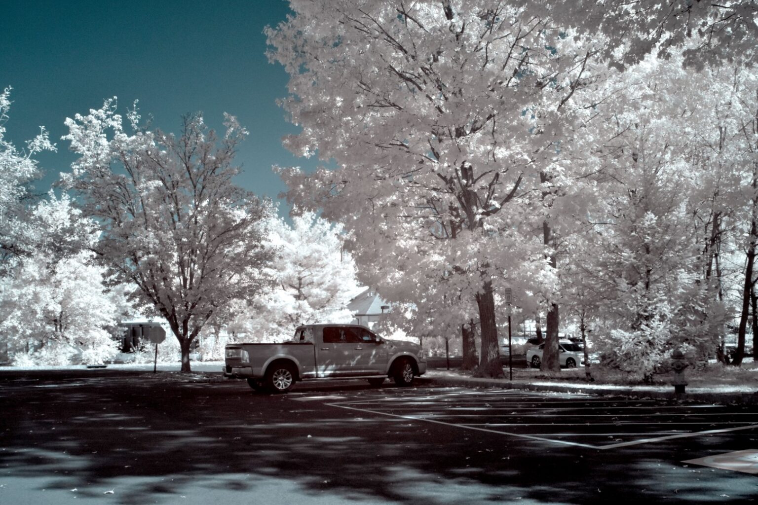 Nikon infrared conversion