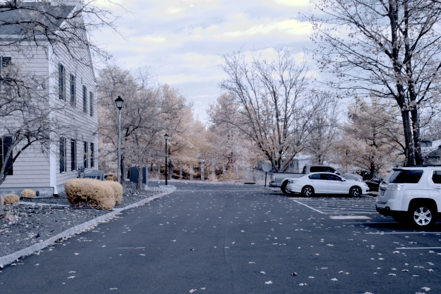 Nikon infrared conversion