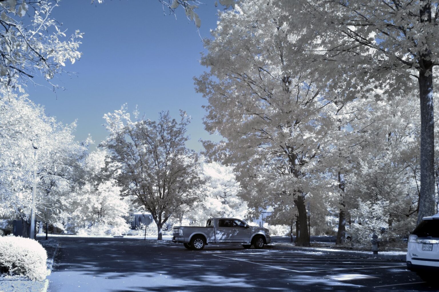Nikon infrared conversion