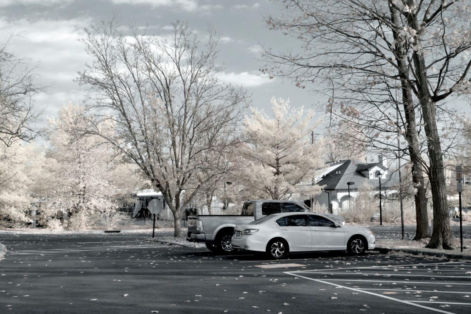 Nikon infrared conversion