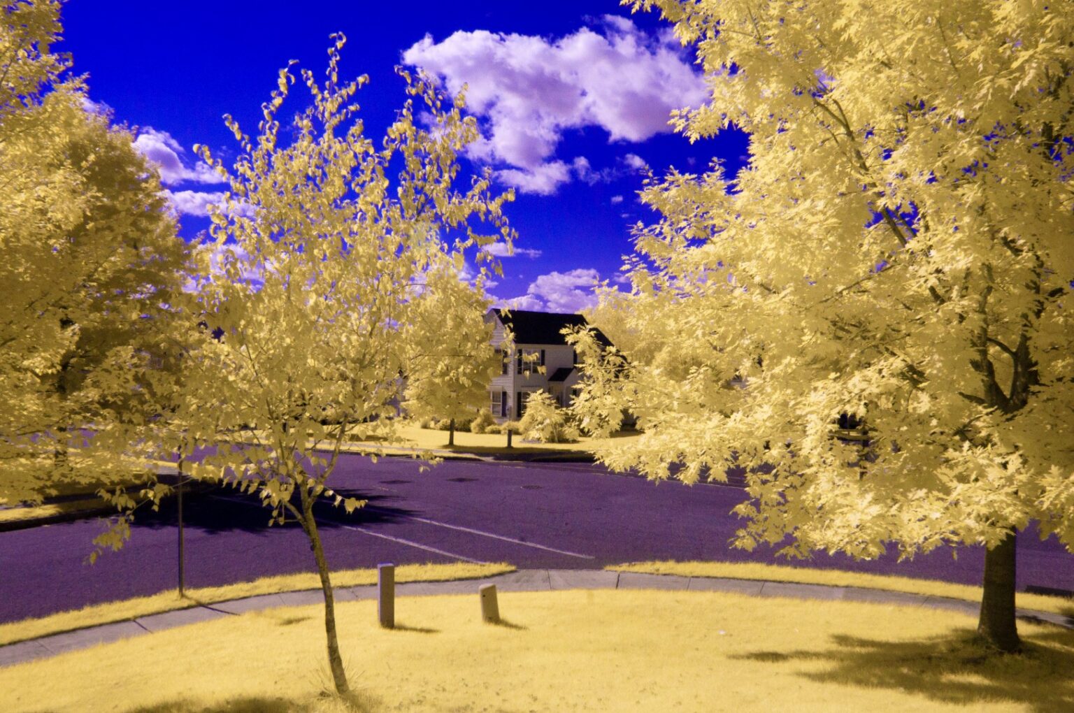 Nikon infrared conversion