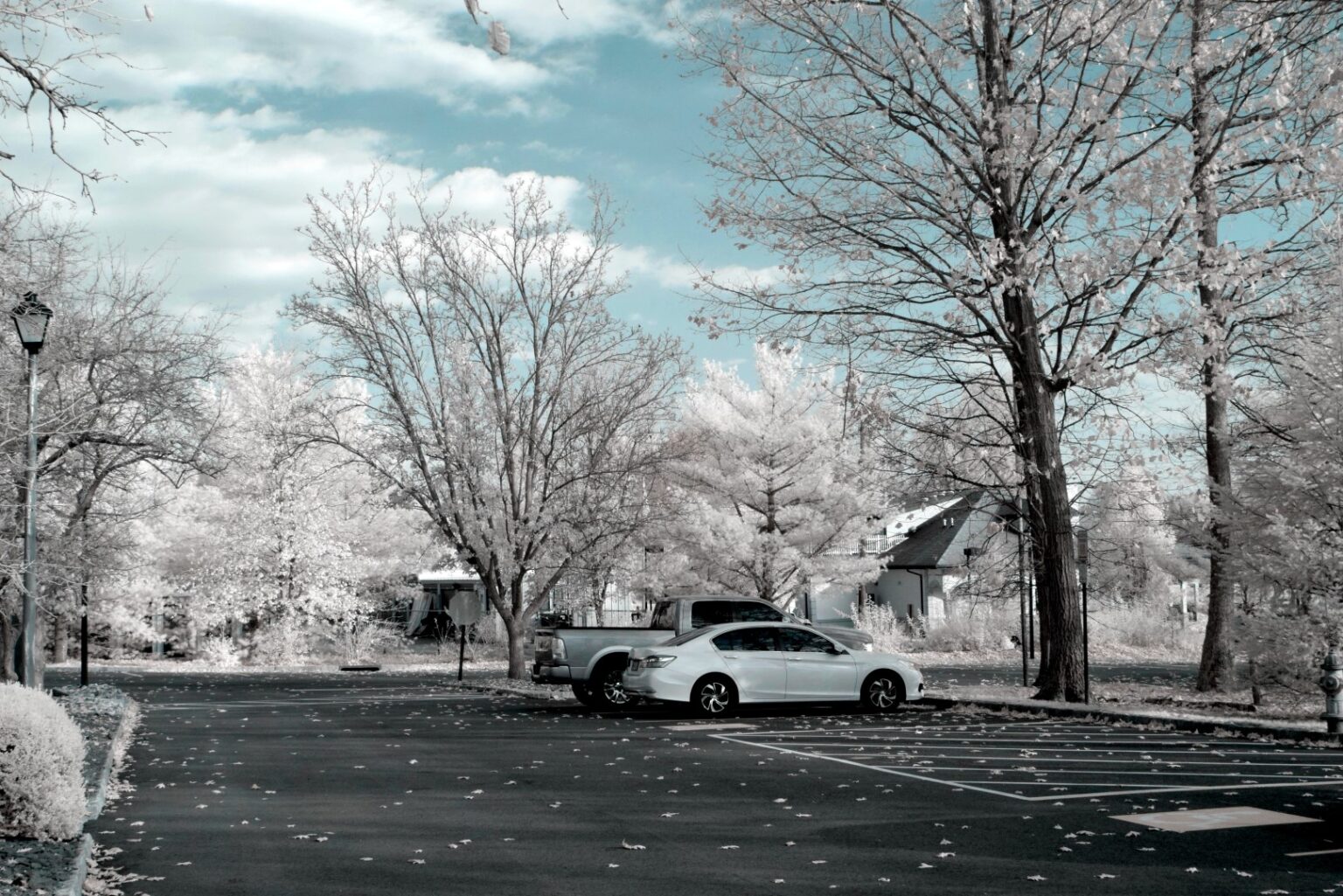 Nikon infrared conversion