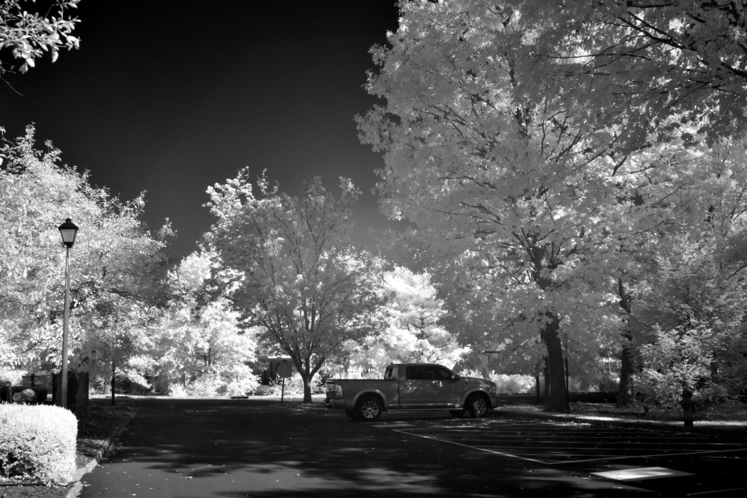 Nikon infrared conversion