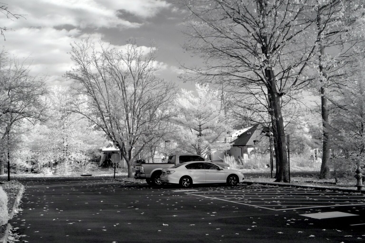 Nikon infrared conversion