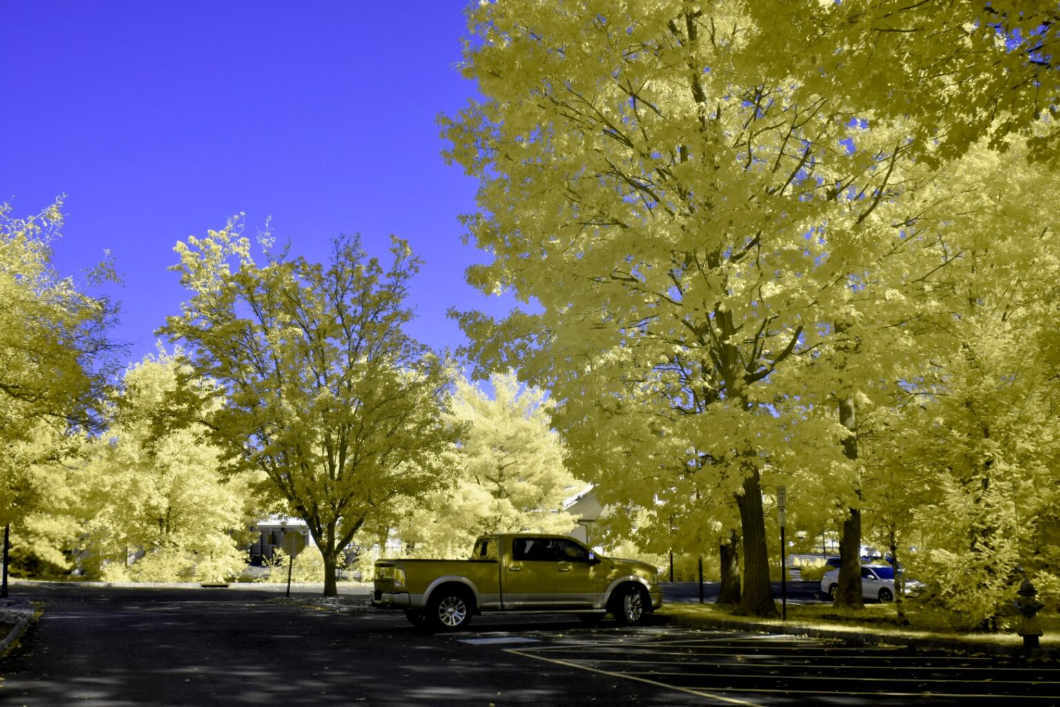 Nikon infrared conversion