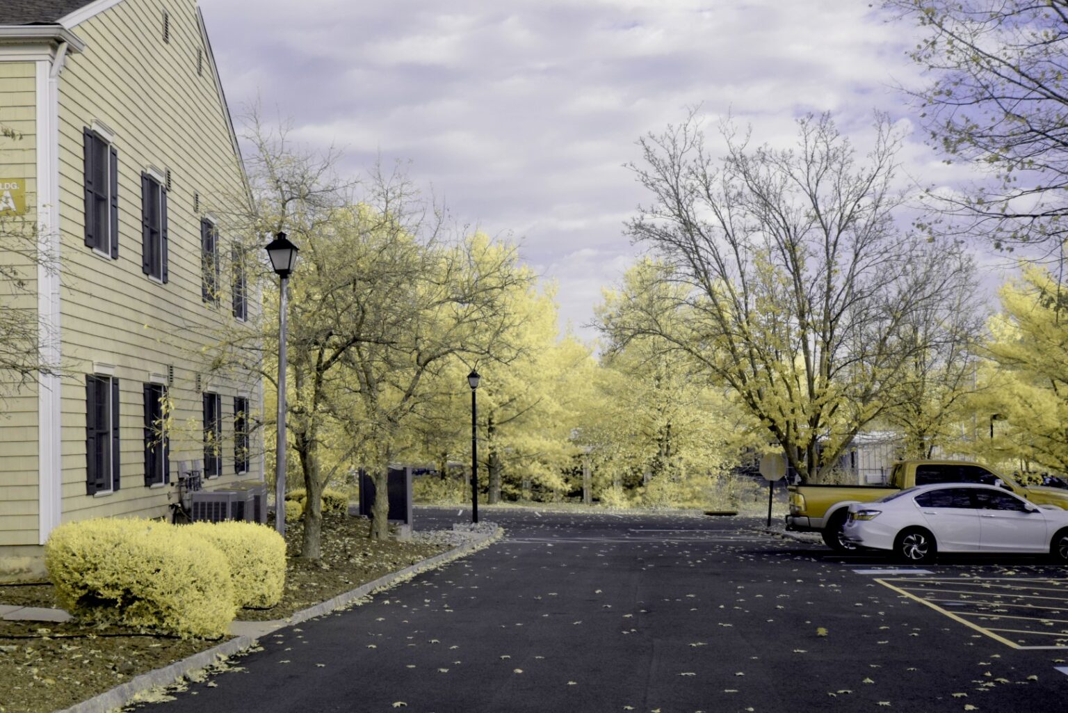 Nikon infrared conversion