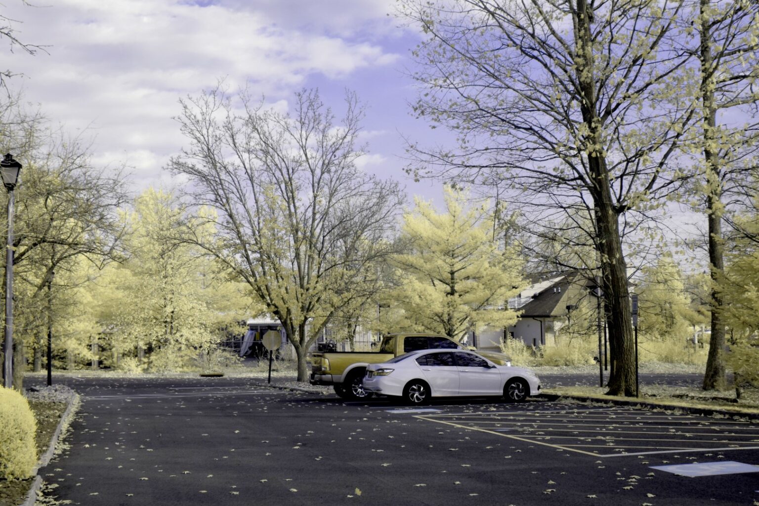 Nikon infrared conversion