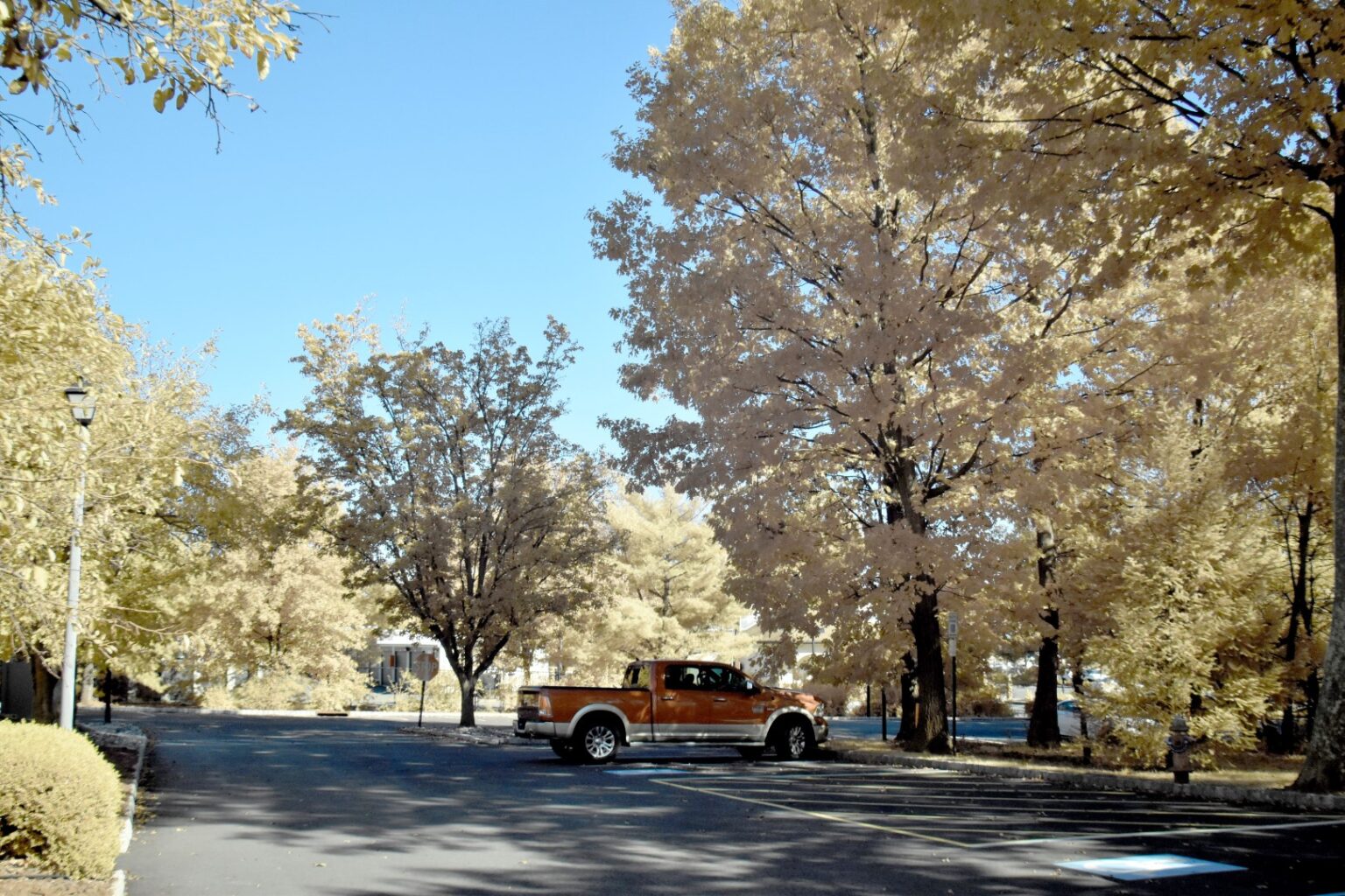 Nikon infrared conversion
