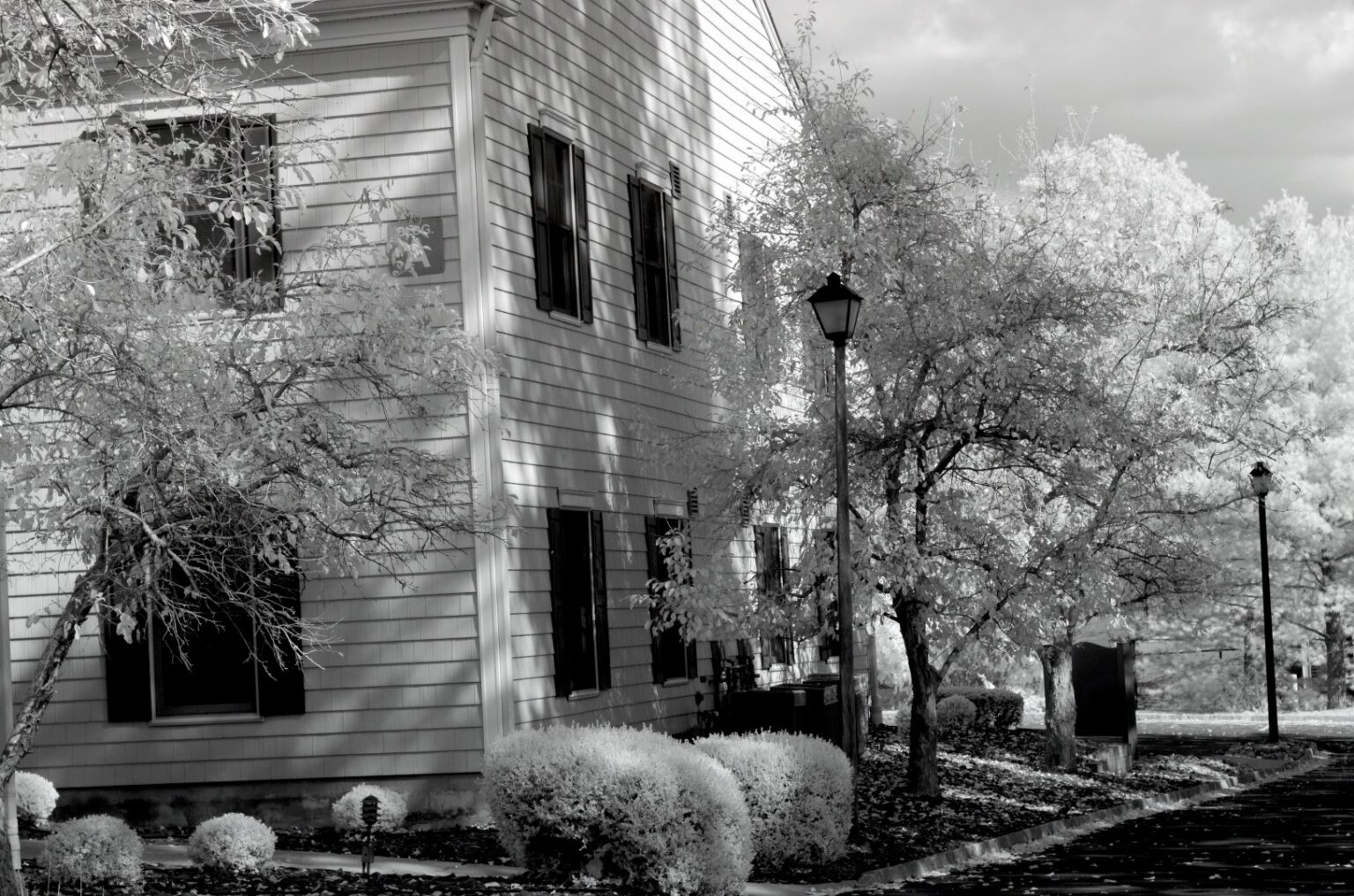 Nikon infrared conversion