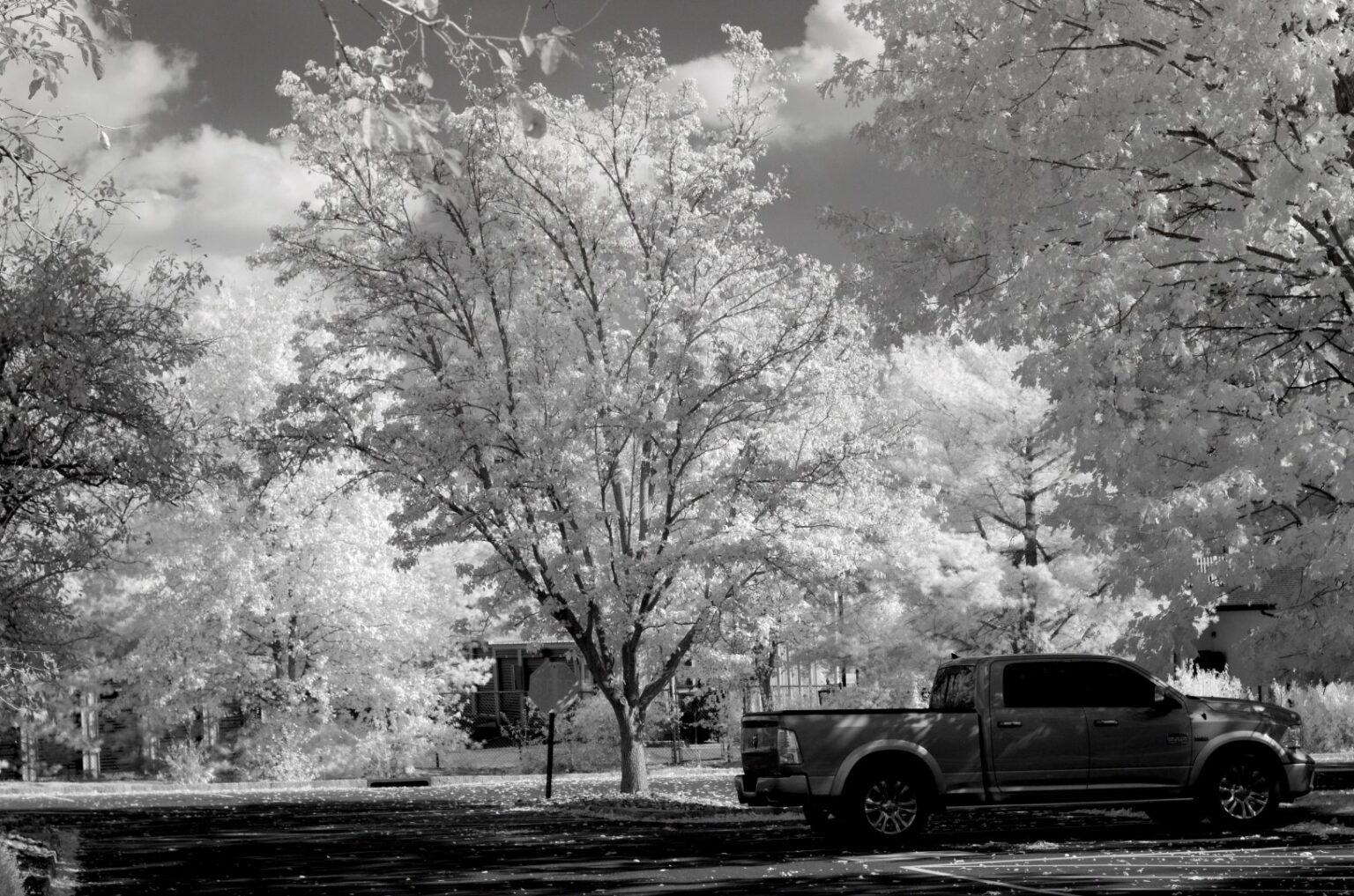 Nikon infrared conversion