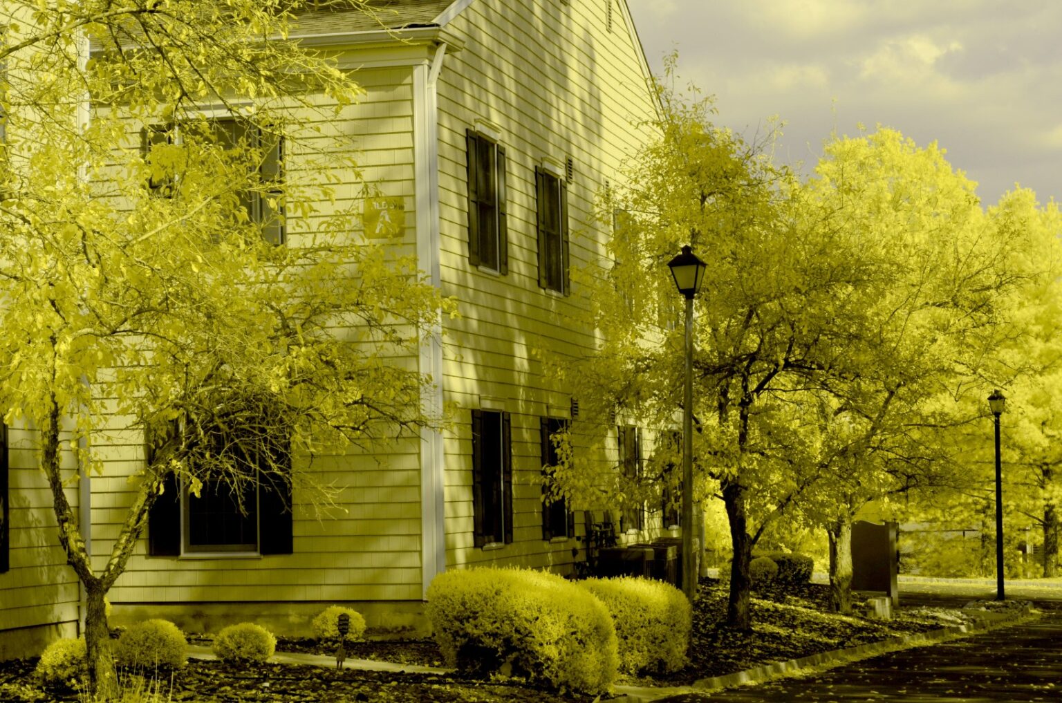 Nikon infrared conversion
