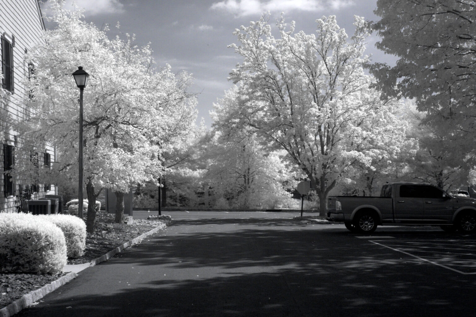 Canon 5D img 022