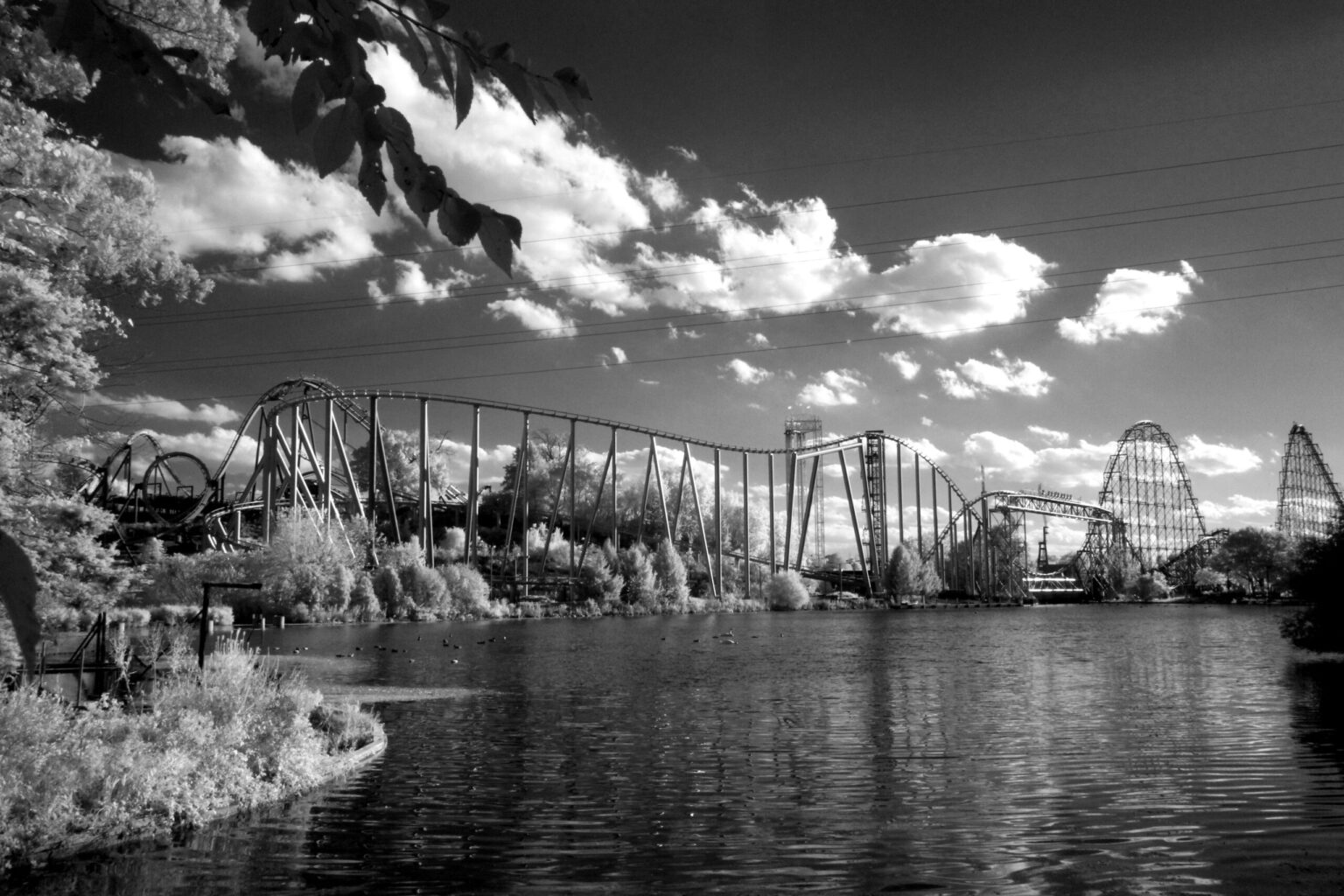 Canon EOS-M IMG_0063BW (720)
