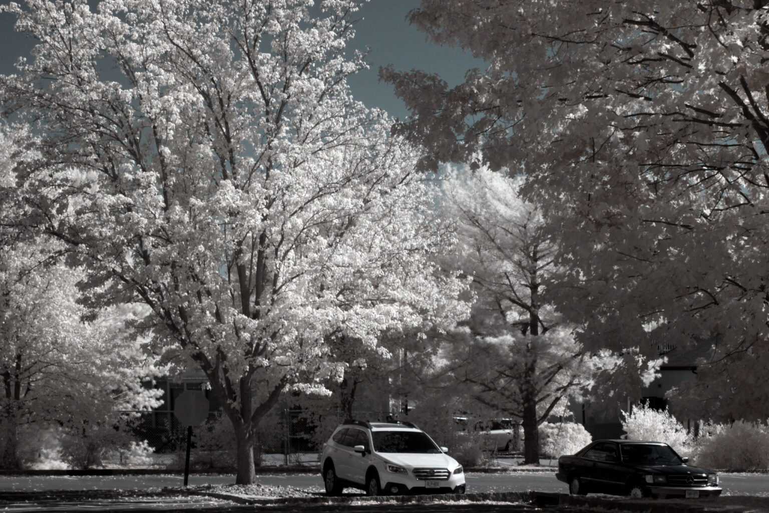 Canon 7D img 8199(720)