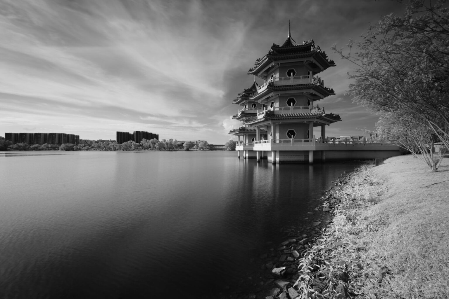 Sony infrared conversion