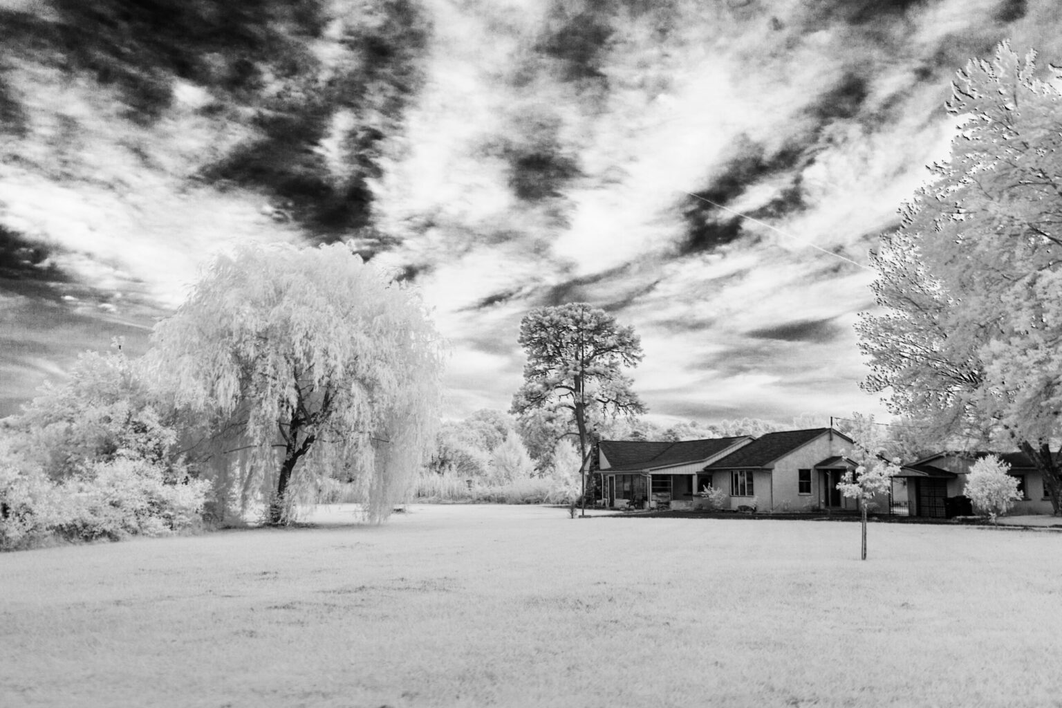 Canon EOS-M IMG_8057_1 (BG3)