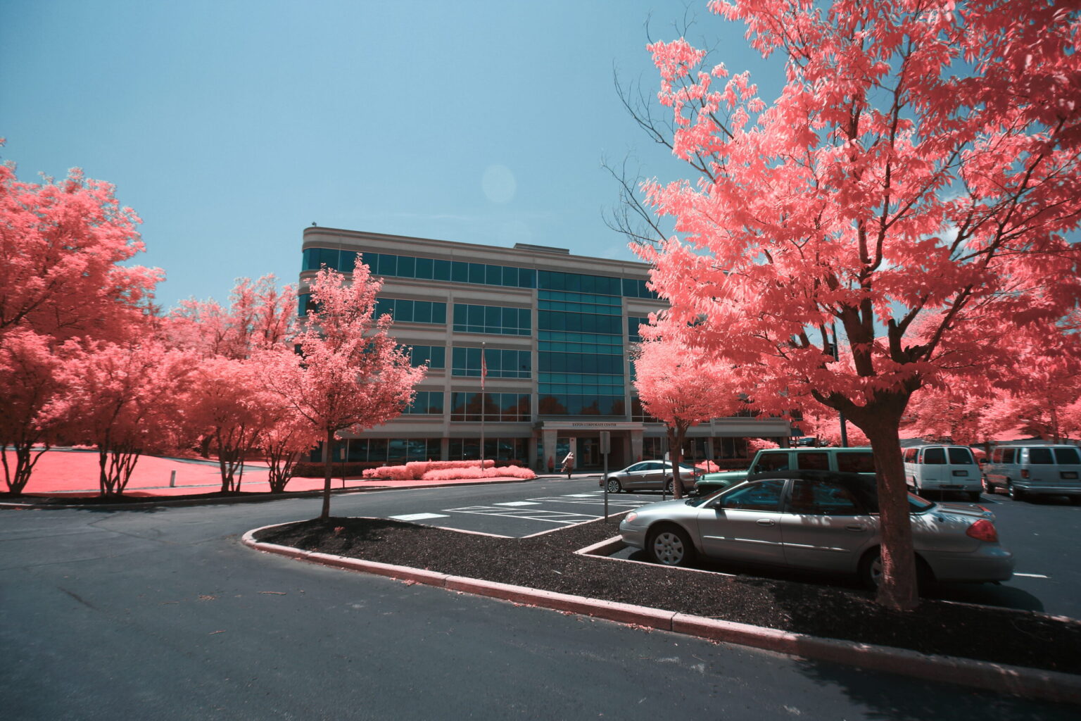 Canon EOS-M IMG_8094 (BG3)