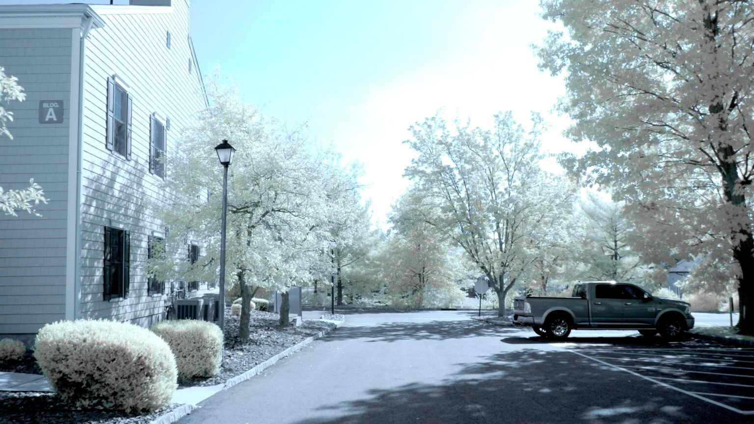 Nikon infrared conversion