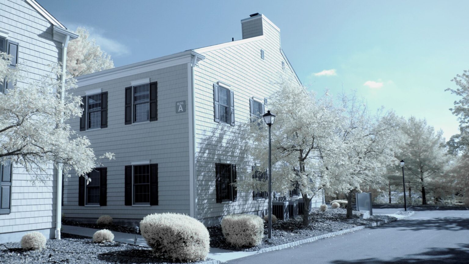 Nikon infrared conversion