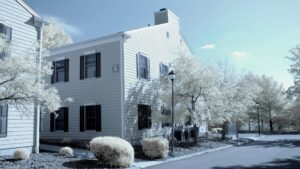 Nikon infrared conversion