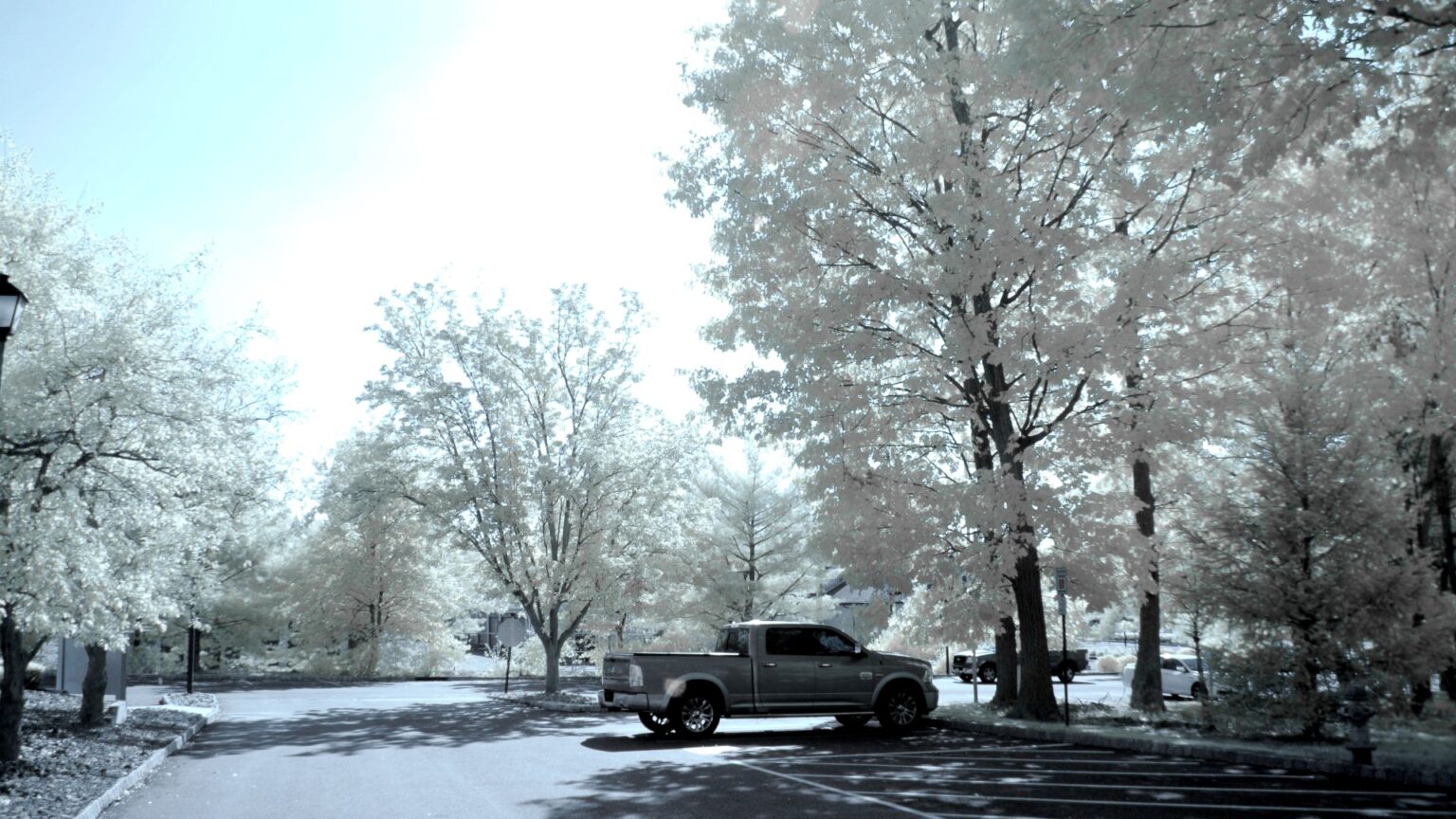 Nikon infrared conversion