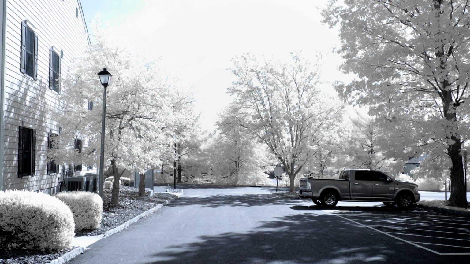 Nikon infrared conversion