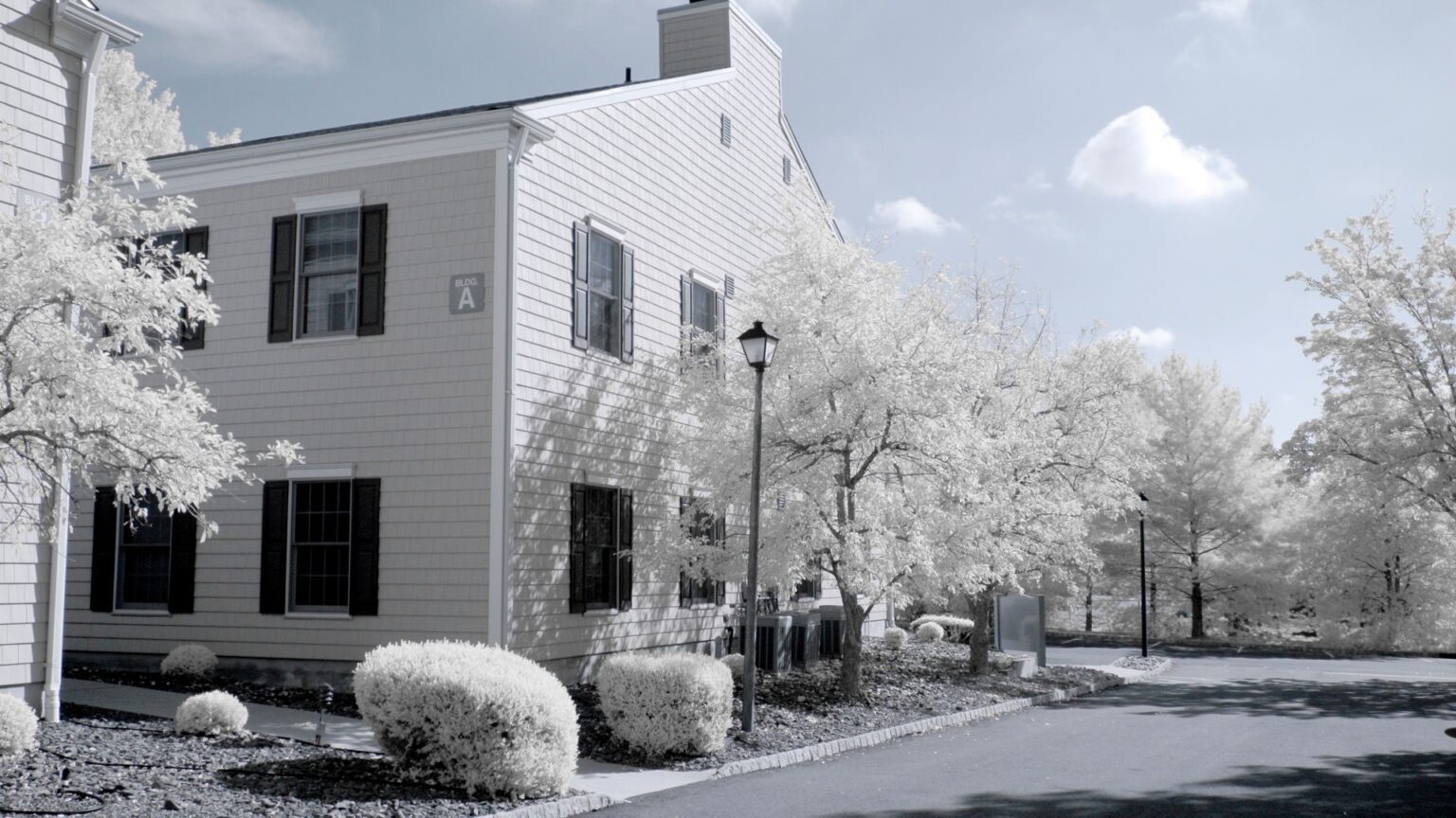 Nikon infrared conversion