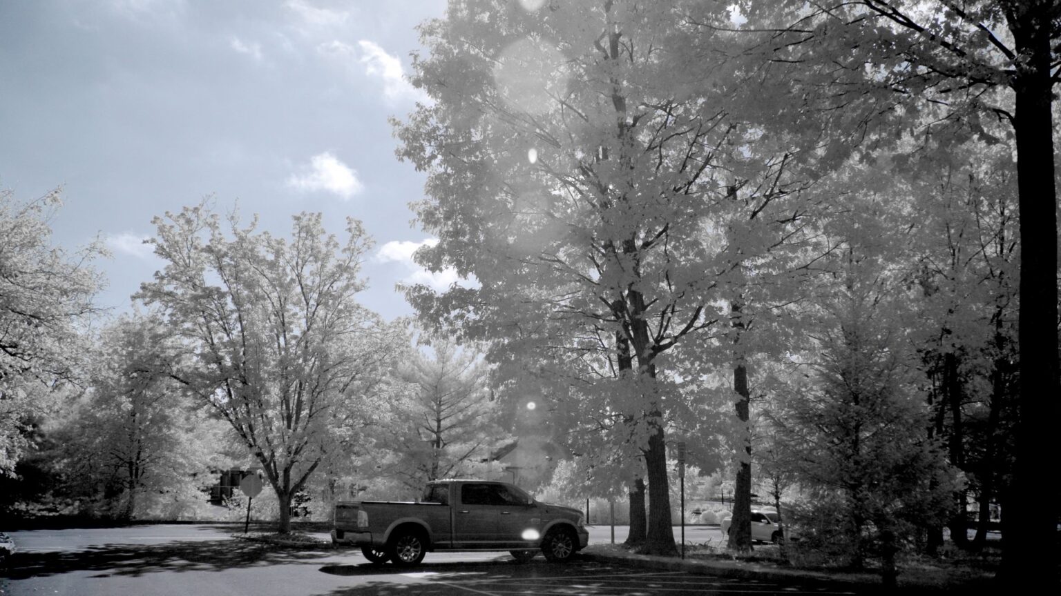 Nikon infrared conversion
