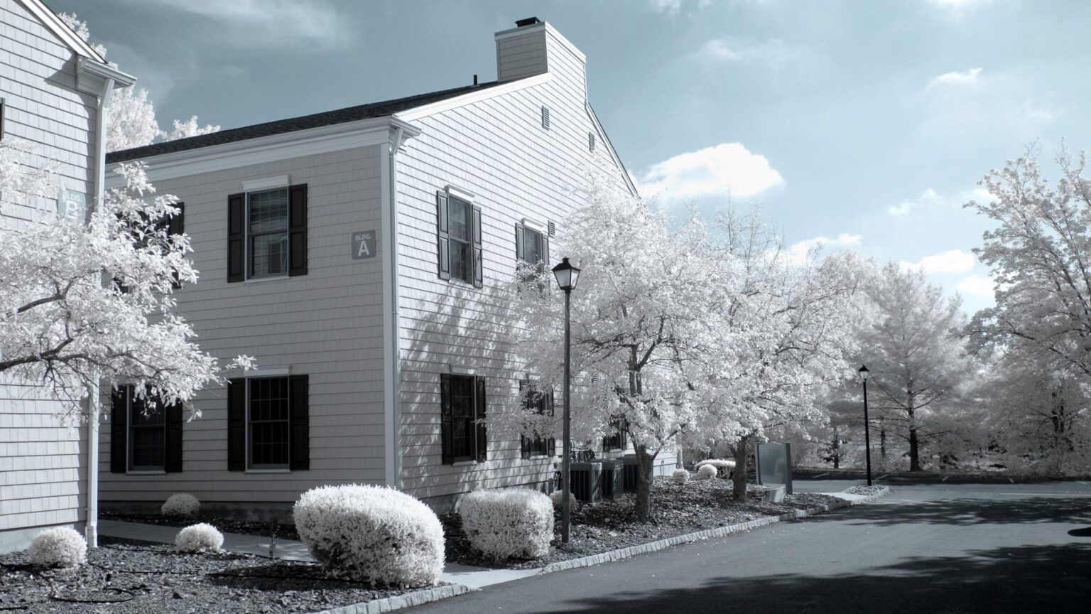 Nikon infrared conversion