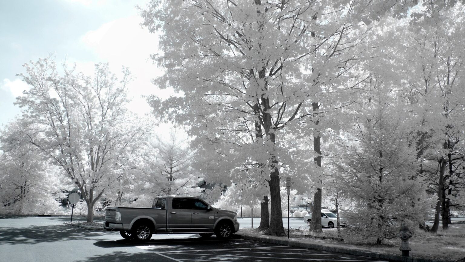Nikon infrared conversion