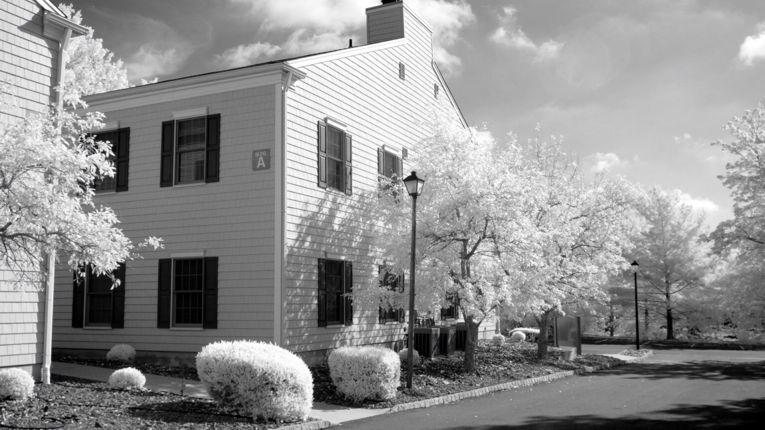 Nikon infrared conversion