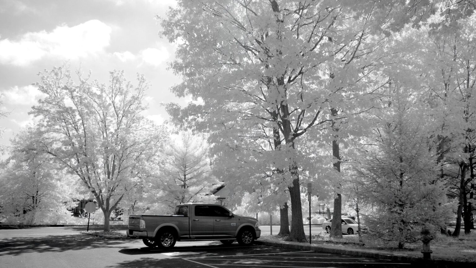 Nikon infrared conversion