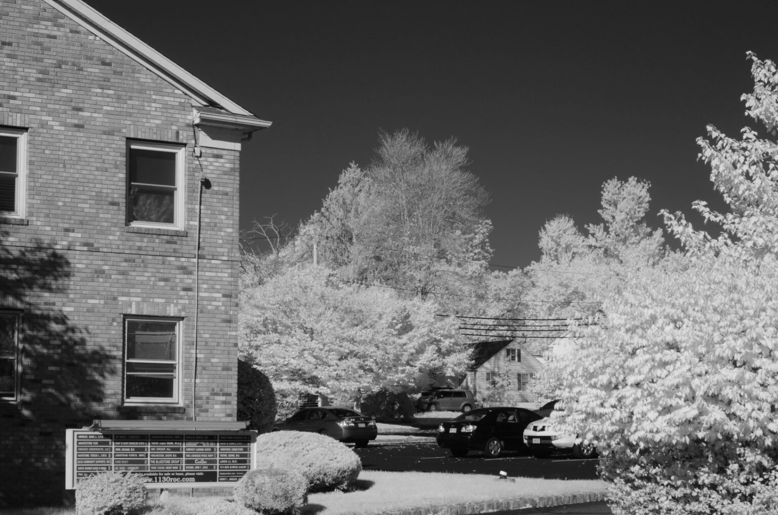Nikon infrared conversion