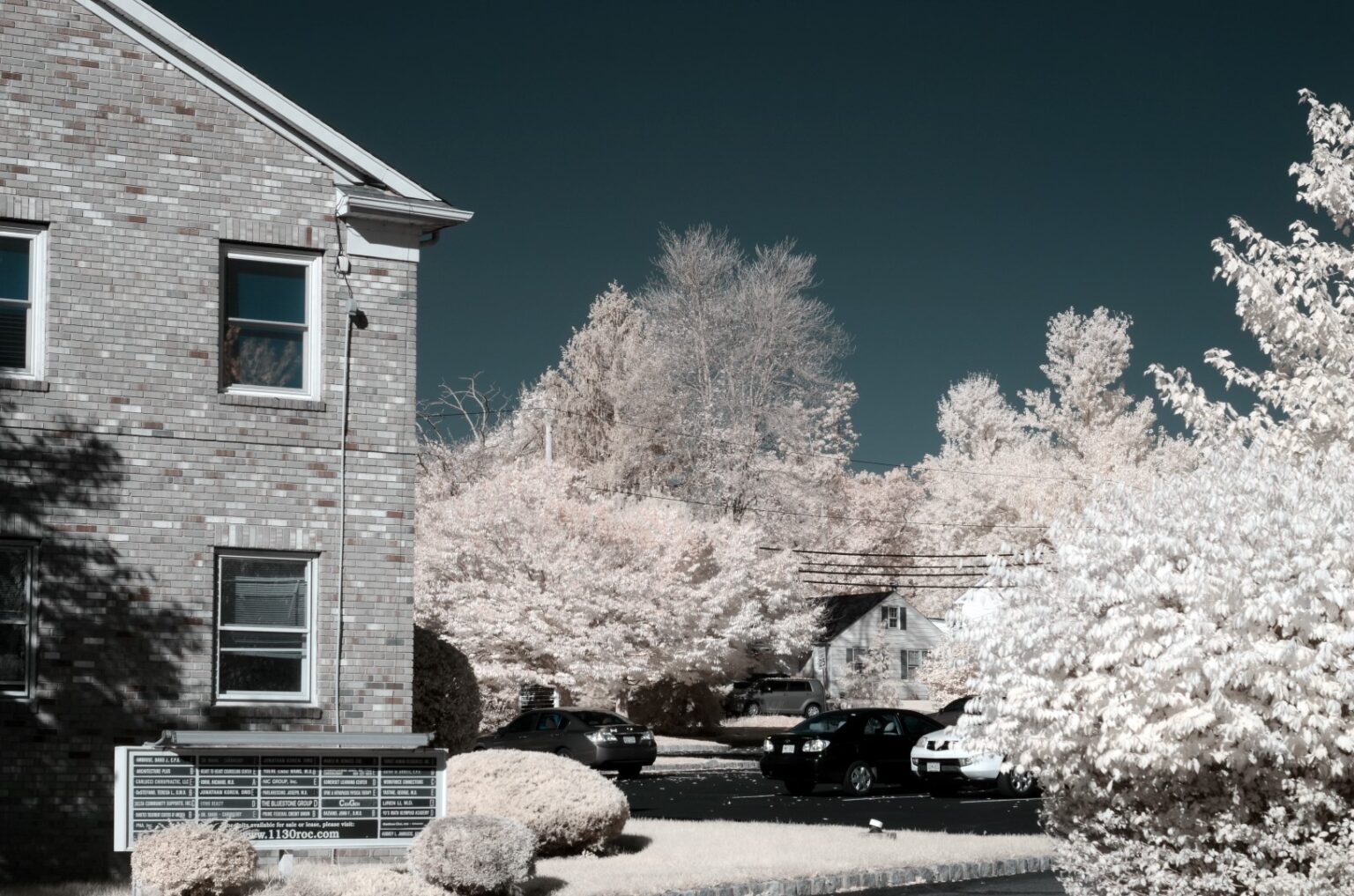Nikon infrared conversion