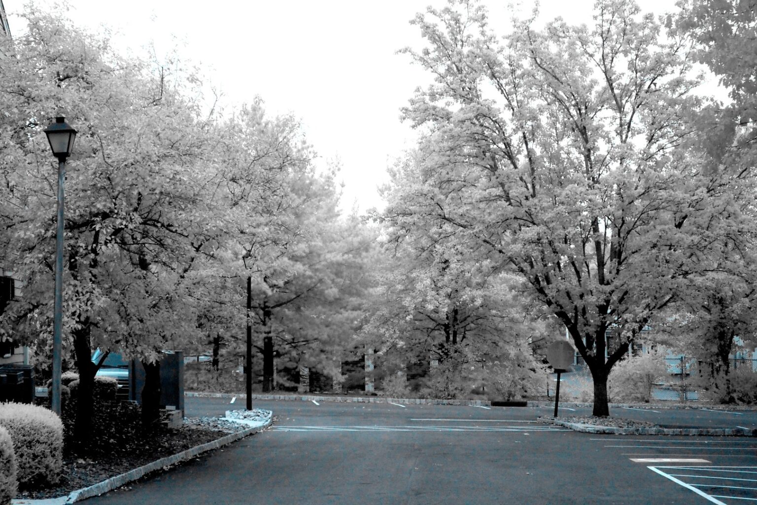 Olympus infrared conversion